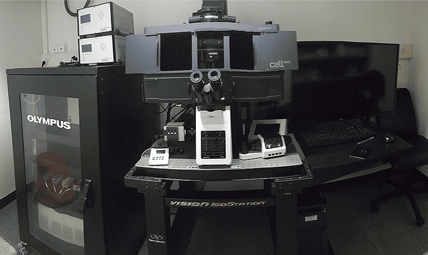 Olympus FV3000 confocal microscope